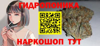 бошки Тула