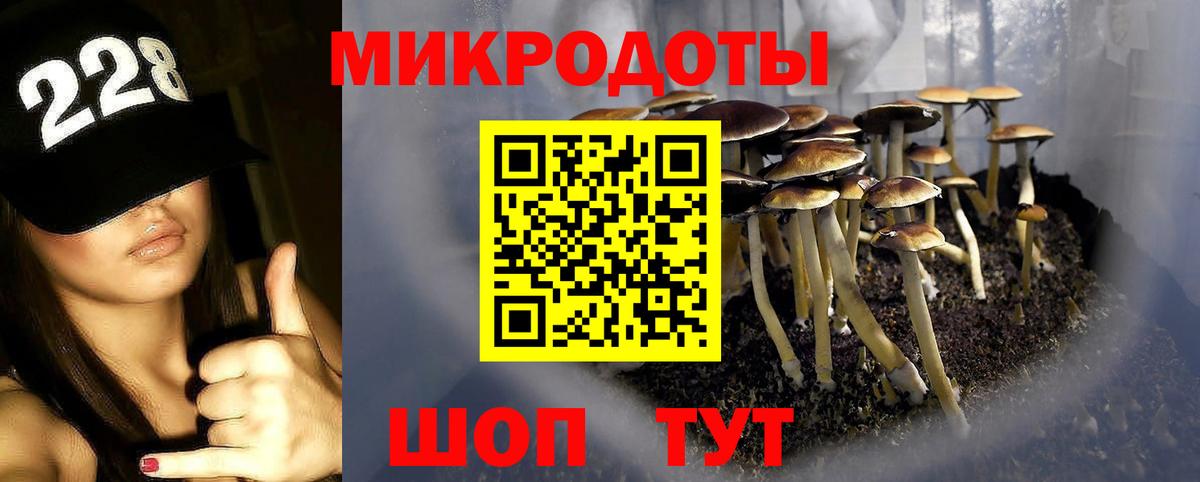 цена наркотик  Галлюциногенные грибы Cubensis  Вход с VPN  Воркута  Псилоцибиновые грибы мицелий 
